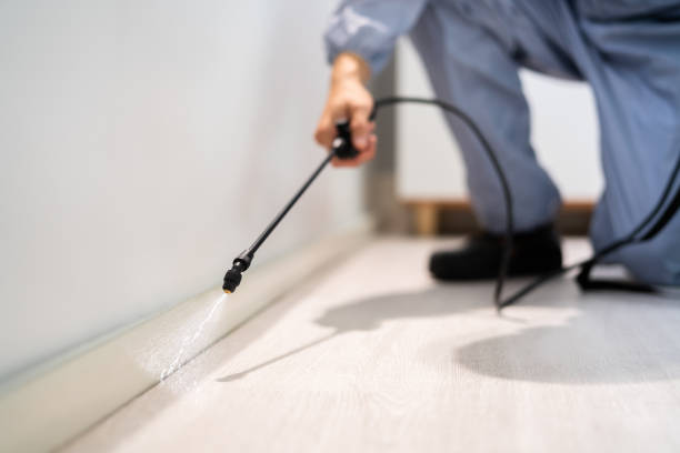 Licensed Rodent Control service in Ashland, MO - Nex Pest Control