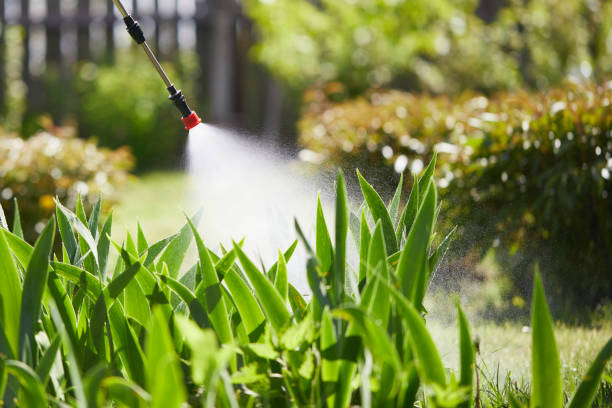 24/7 Emergency Rodent Control experts in Ashland, MO