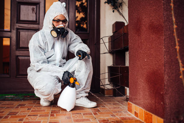Reliable Rodent Control contractor in Ashland, MO by Nex Pest Control