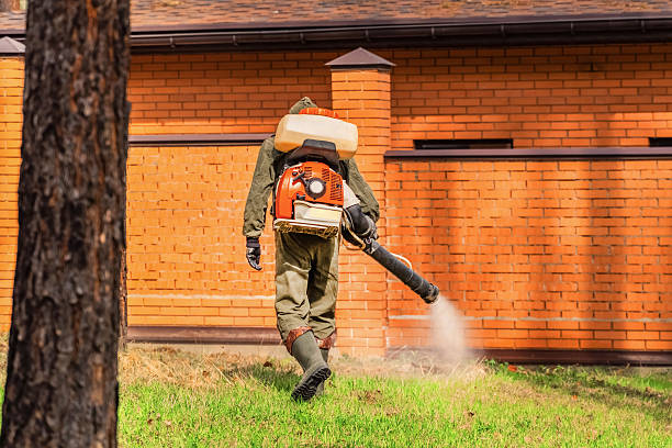Top rated local Rodent Control specialists in Ashland, MO